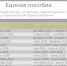 Для назначения единого пособия в 2026 году Отделение Социального фонда по Кировской области учитывает доход семьи за 12 месяцев, предшествующих месяцу обращения.. - Свечинский муниципальный округ