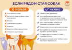 Уважаемые жители Свечинского муниципального округа напоминаем, что в зимне-весенние месяцы у животных (собак) наблюдается сезонная репродуктивная активность..