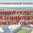 Региональный конкурс «Лучший сельский населенный пункт Кировской области».. - Свечинский муниципальный округ