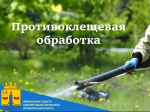 Уважаемые жители!  Администрация Свечинского муниципального округа информирует о проведении акарицидной (противоклещевой) обработки общественных территорий..