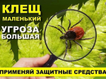 Памятка для граждан: меры личной профилактики укусов клещей..